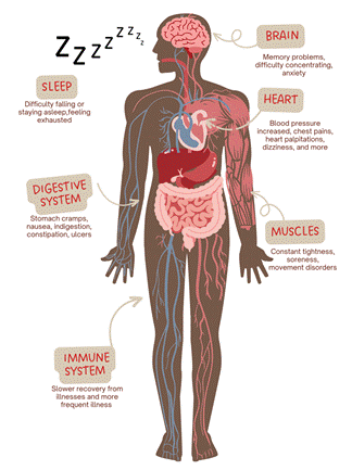 A diagram of a person's body

Description automatically generated